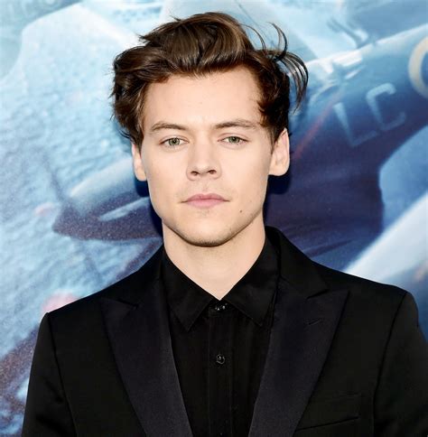 harry styles biography.